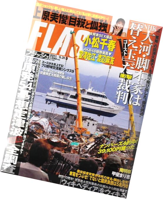 Flash Magazine 2011 – N 1144