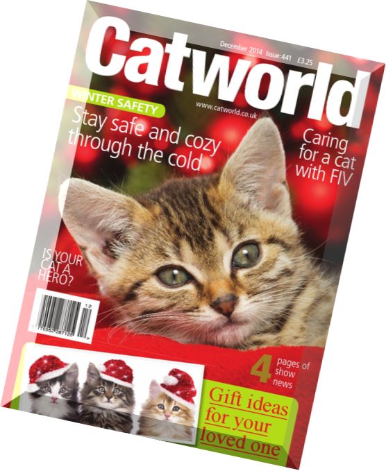 Catworld – December 2014
