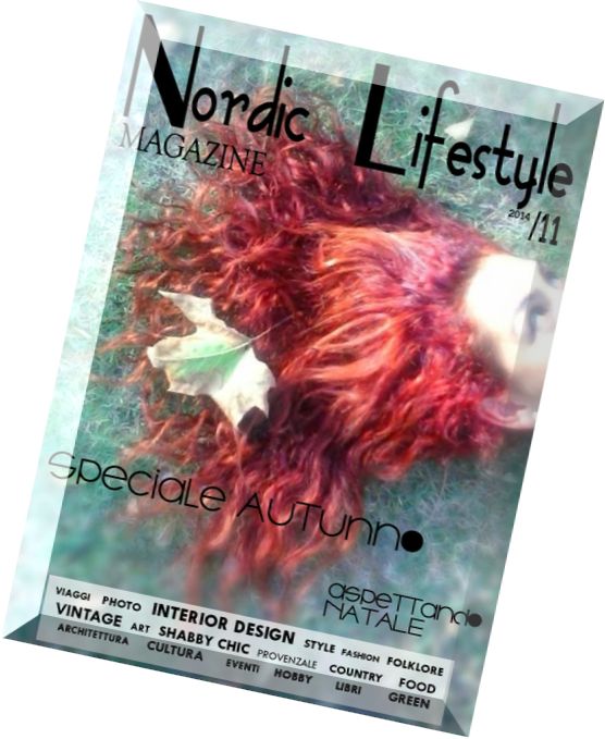 Nordic Lifestyle Magazine – November 2014