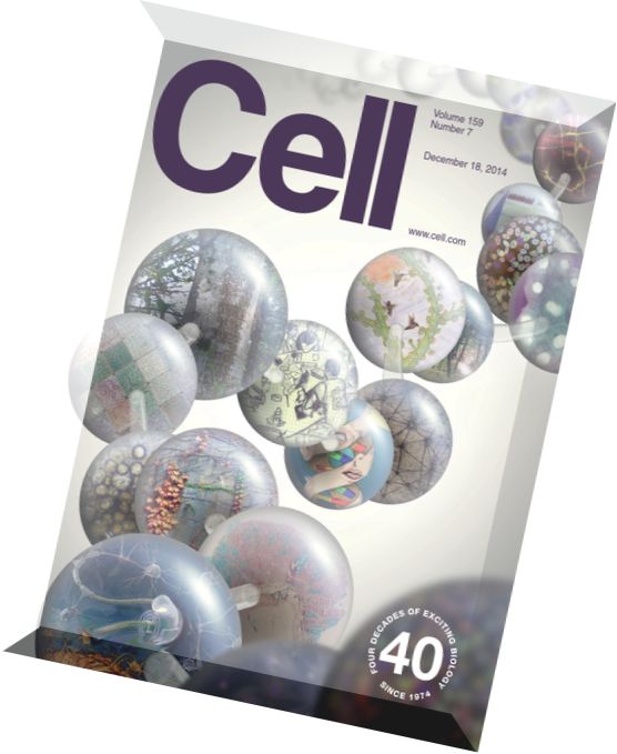 Cell – 19 December 2014