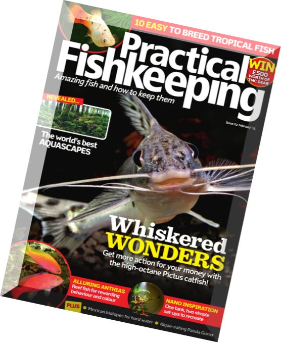 Practical Fishkeeping – February 2015