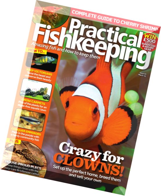 Practical Fishkeeping – March 2015