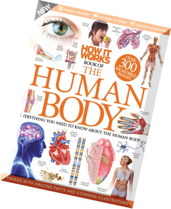How It Works Book of The Human Body 3rd Revised Edition 2015