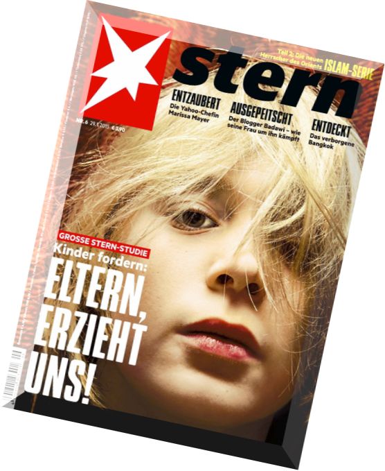 stern Magazin 06-2015 (29.01.2014)
