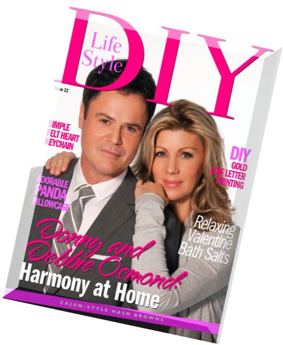 DIY Lifestyle Issue 22, 2015