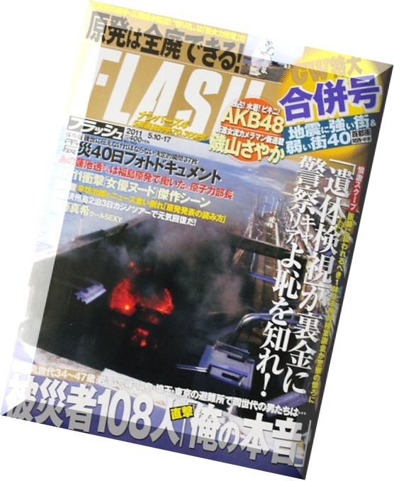 Flash Magazine 2011 – N 1142