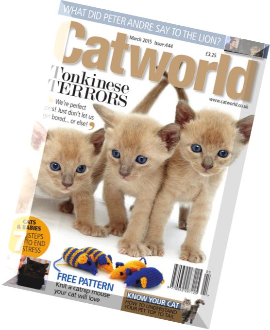Cat World – March 2015