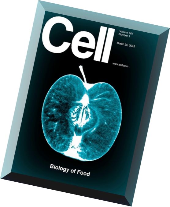 Cell – 26 March 2015