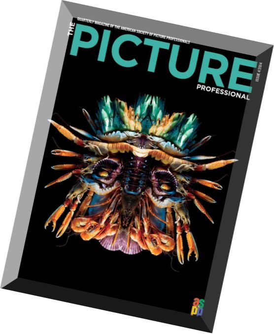 The Picture Professional – Winter 2014-2015