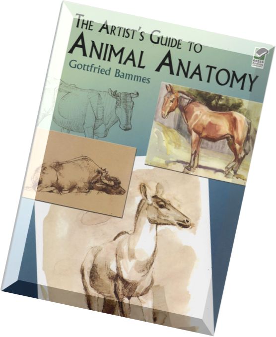 The Artist’s Guide to Animal Anatomy