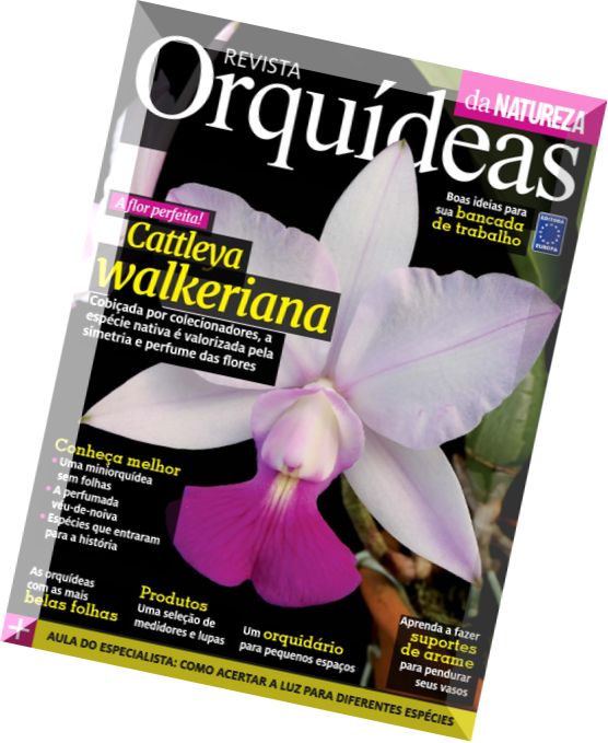 Orquideas – Juhno 2015