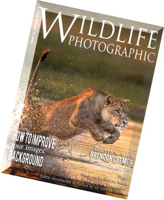 Wildlife Photographic – July-August 2015