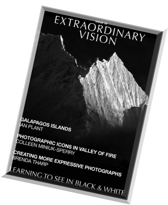 Extraordinary Vision – Issue 30, 2015