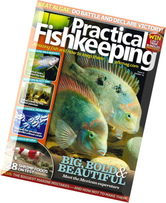 Practical Fishkeeping – October 2015