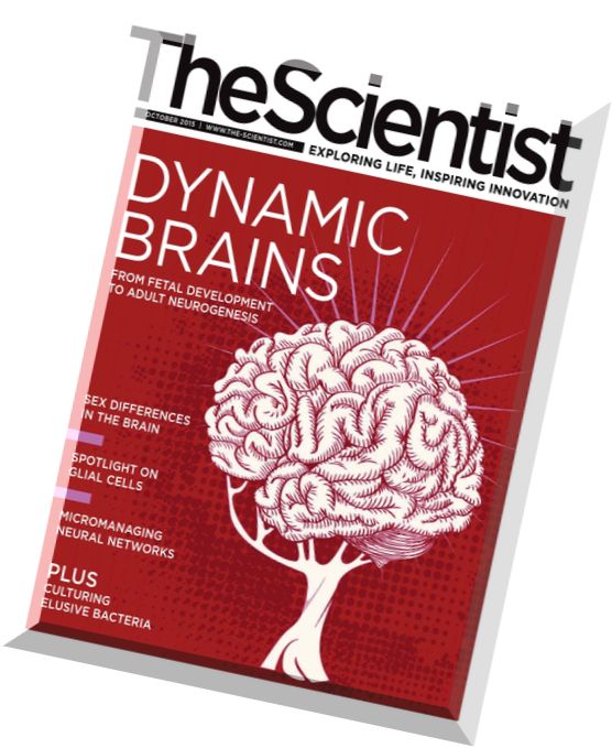 The Scientist – October 2015
