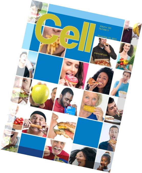 Cell – 19 November 2015
