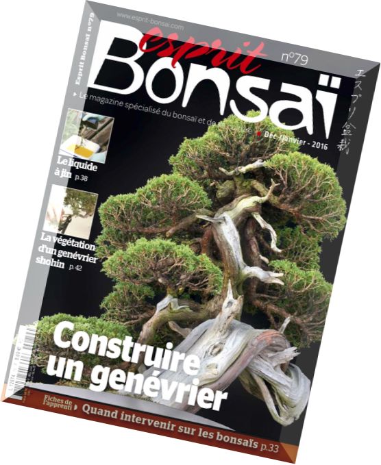 Esprit Bonsai – Decembre 2015 – Janvier 2016