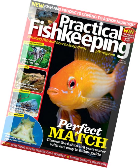 Practical Fishkeeping – January 2016