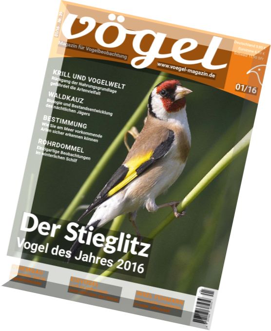 Vogel – Nr.1, 2016