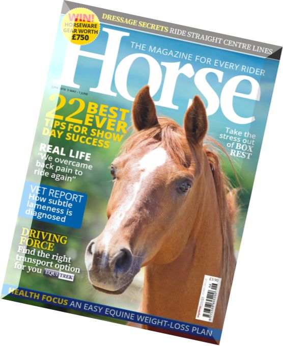 Horse – June 2016