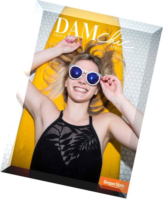 DAMchic Magazine – Spring 2016