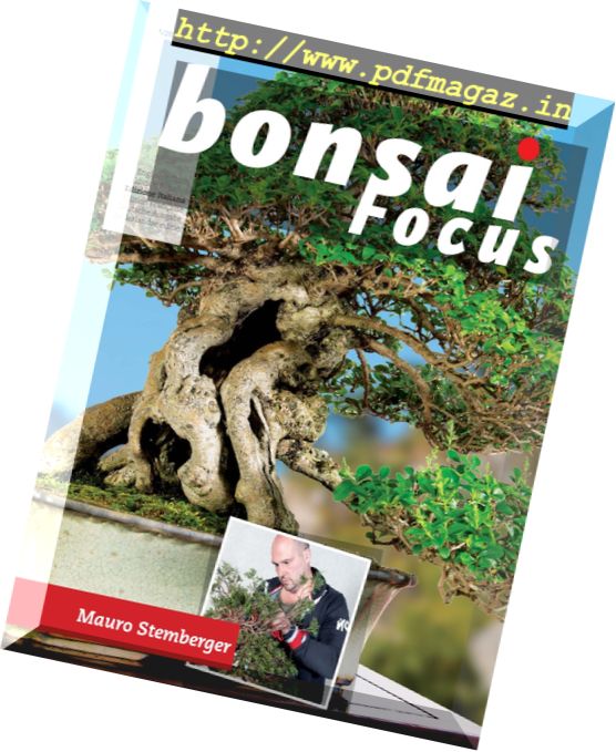 Bonsai Focus – Settembre-Ottobre 2016