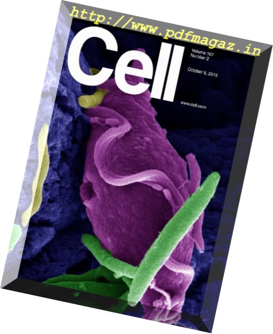 Cell – 6 October 2016
