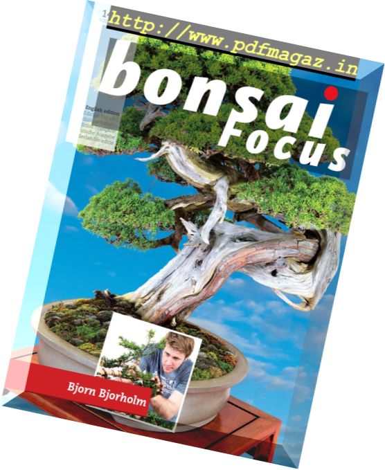 Bonsai Focus – November-December 2016