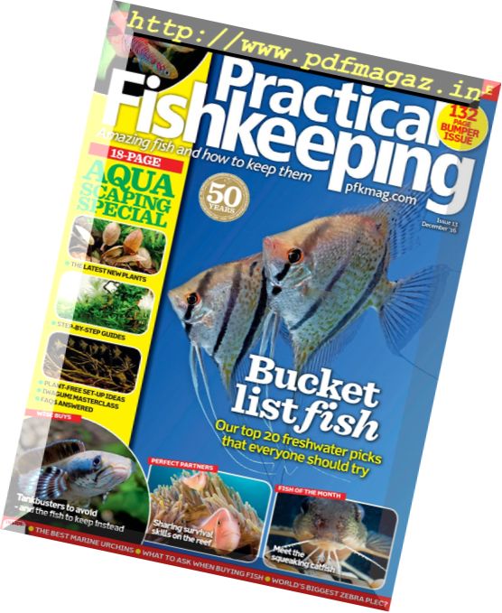 Practical Fishkeeping – December 2016