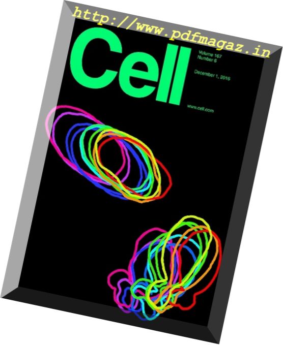 Cell – 1 December 2016