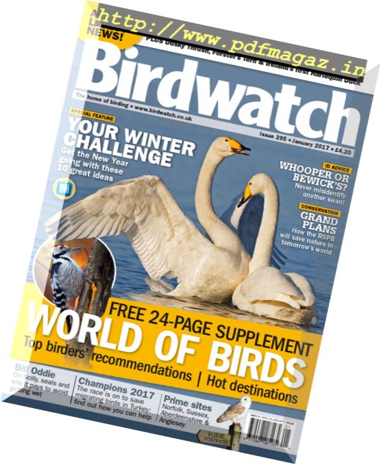 Birdwatch UK – January 2017