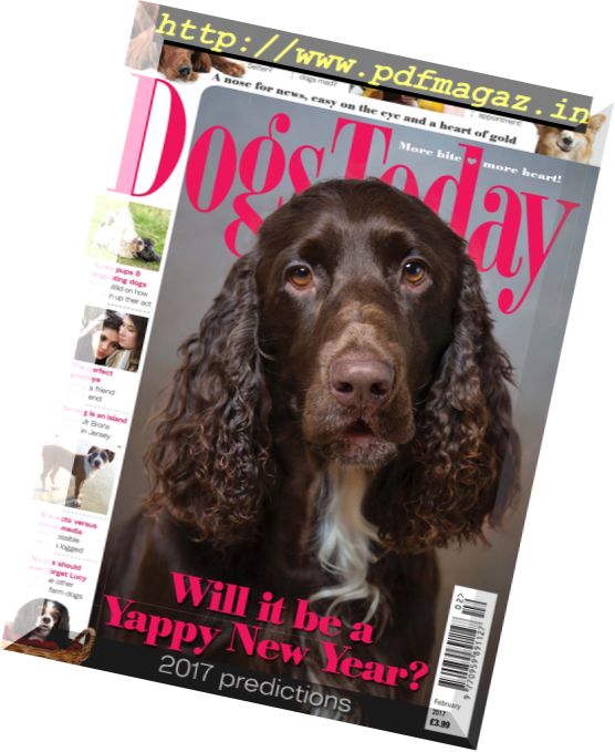 Dogs Today UK – February 2017