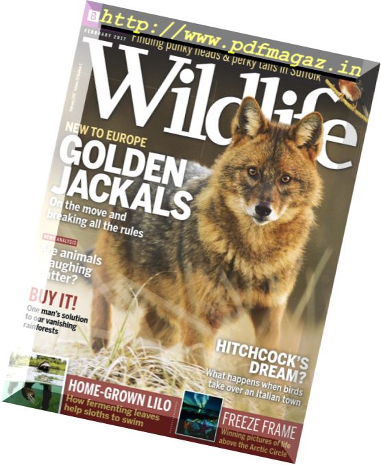 BBC Wildlife – February 2017