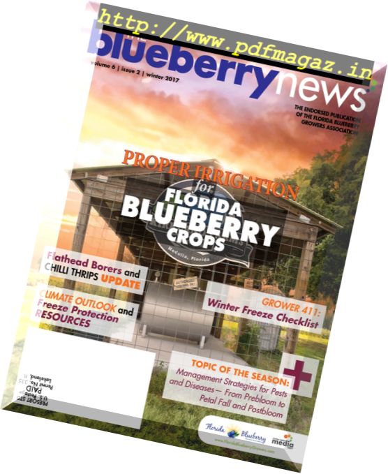 The Blueberry News – Winter 2017