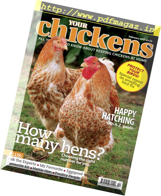 Your Chickens – February 2017