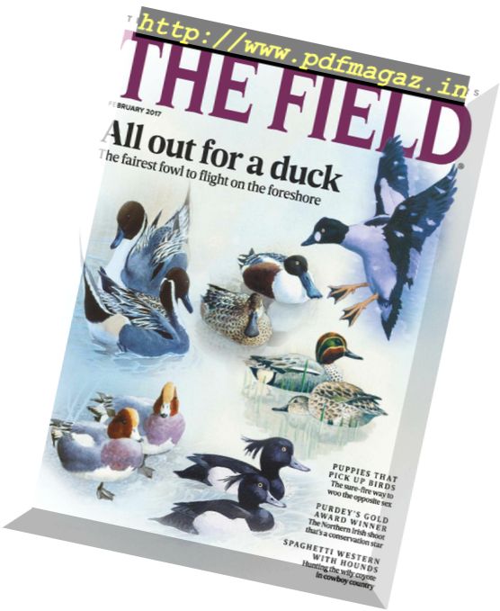 The Field – February 2017