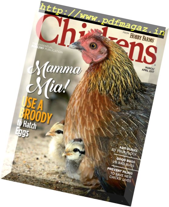Chickens – March-April 2017