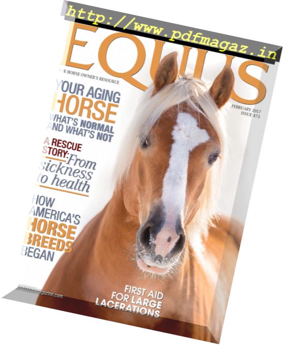 Equus – February 2017