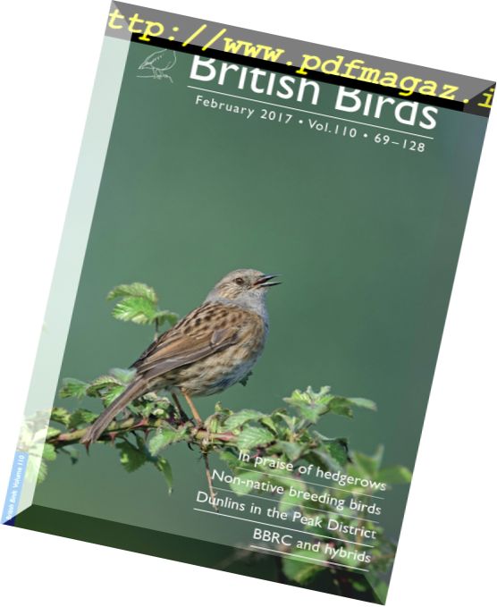 British Birds – February 2017