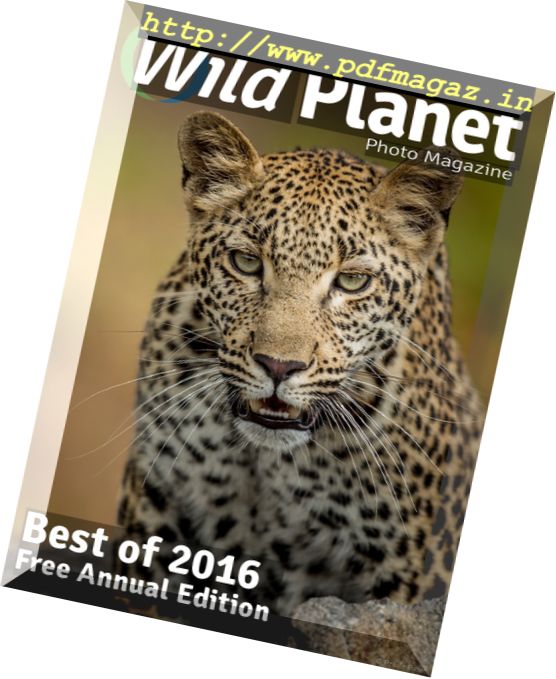 Wild Planet Photo – Annual 2016