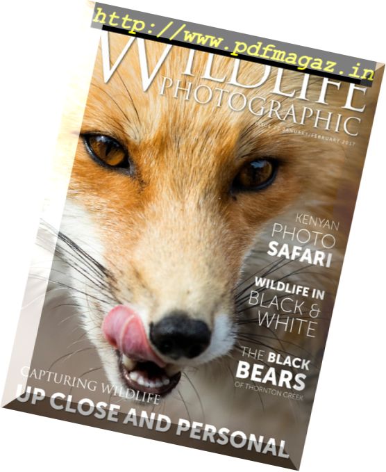 Wildlife Photographic – January-February 2017