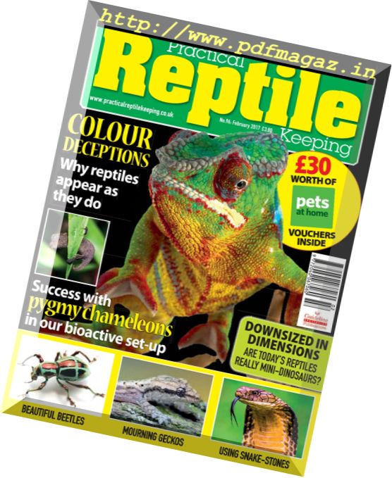 Practical Reptile Keeping – February 2017