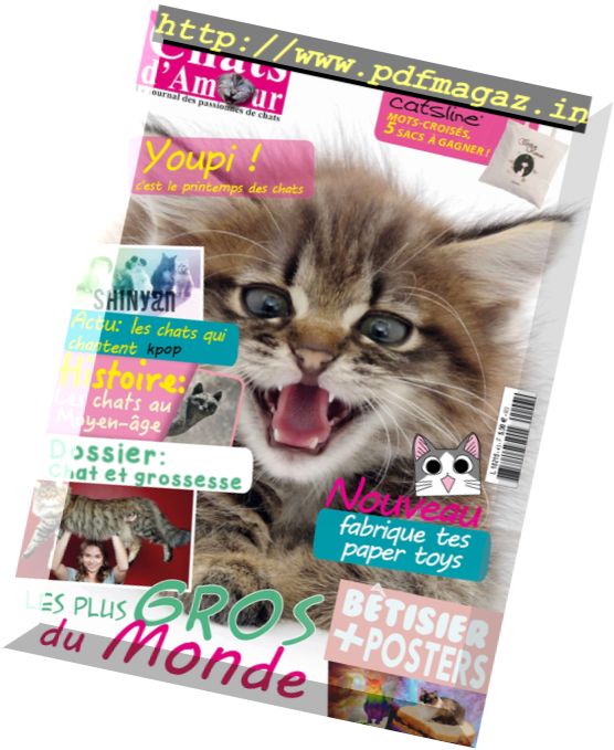 Chats D’Amour – N 43, 2016
