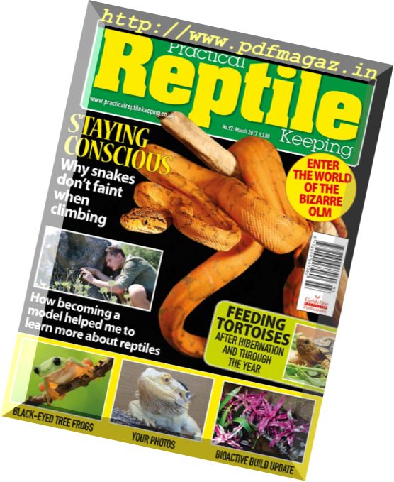 Practical Reptile Keeping – March 2017