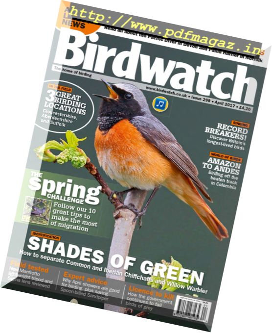 Birdwatch UK – April 2017