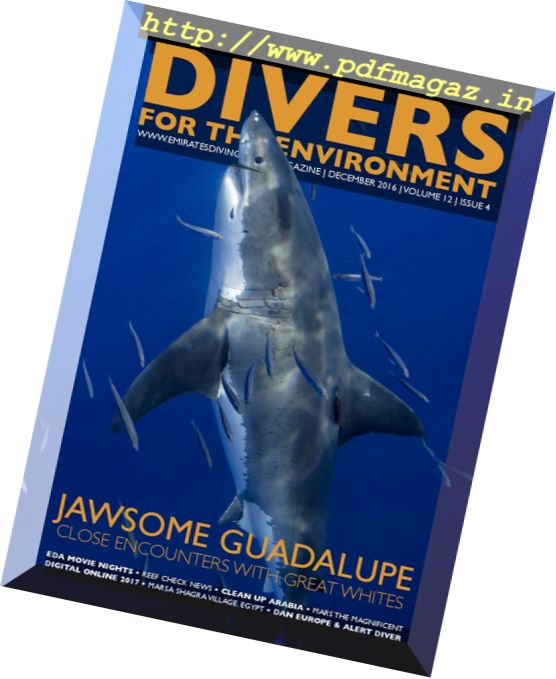 Divers For The Environment – December 2016