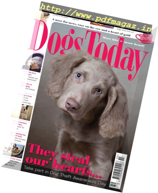 Dogs Today UK – March 2017
