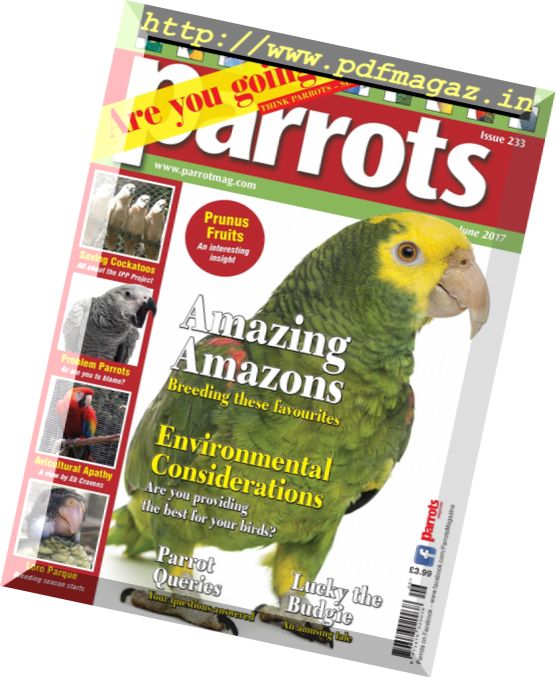 Parrots – June 2017