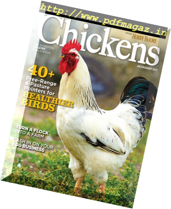 Chickens – July-August 2017