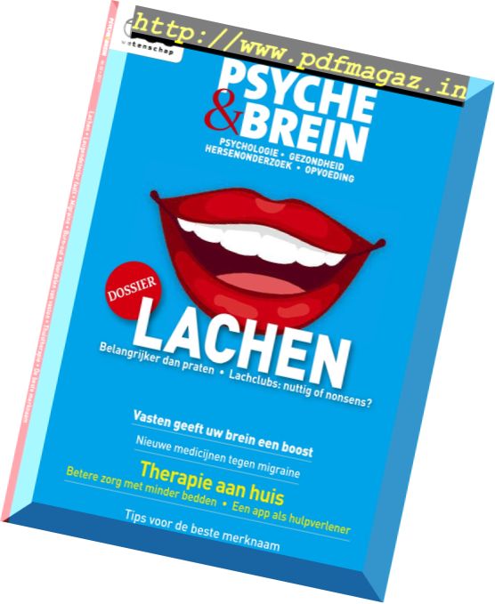 Psyche & Brein – Nr.3, 2017